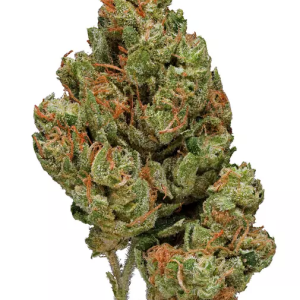 Jamaican Dream