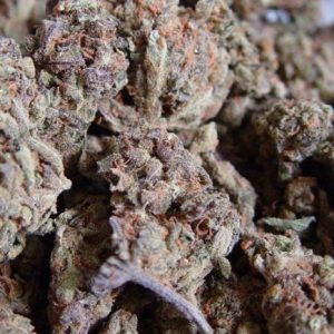 Amnesia Haze